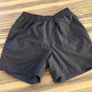 Men's Chubbies Shorts 5.5 inseam